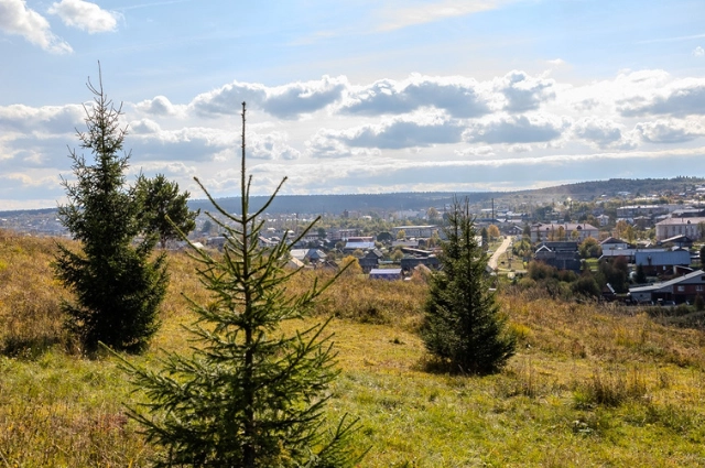 Купил гору за 35 рублей. Как возник «железнодорожный» посёлок Шаля