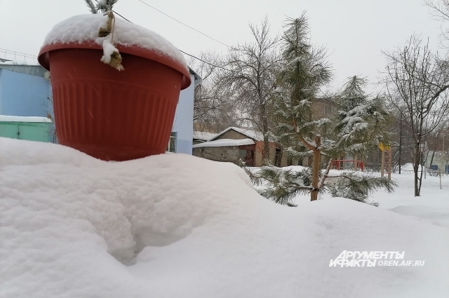 Снежные зимы в Оренбургской области могут чередоваться с зимами, когда осадков выпадает меньше нормы.