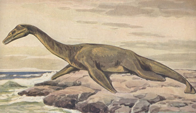 Изображение плезиозавра, выполненное Генрихом Хардером