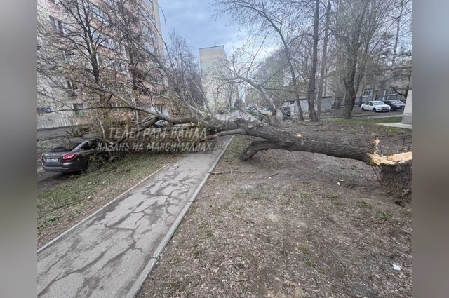 Ураган повырывал деревья и в Казани.