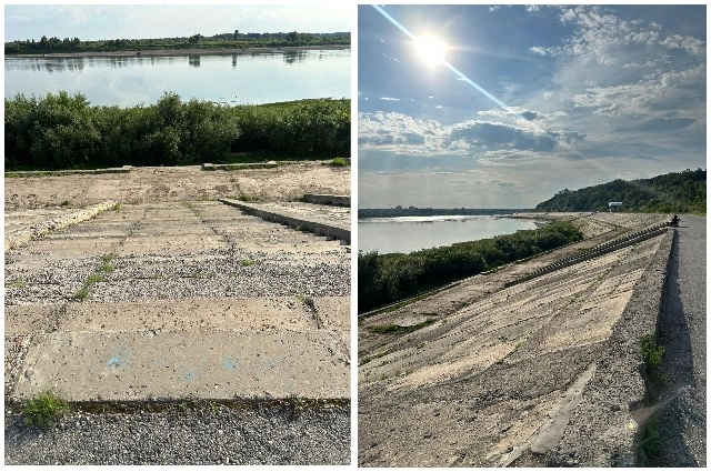 лагерный сад