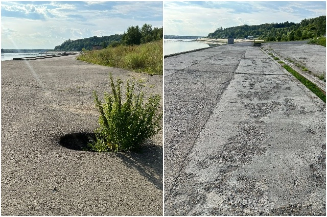 лагерный сад