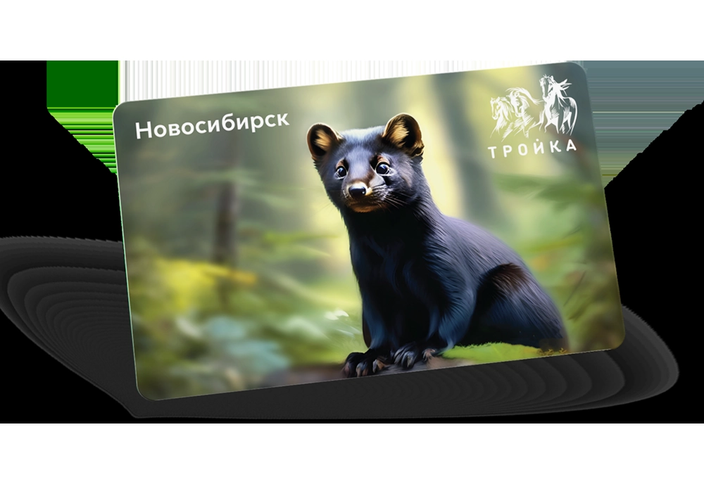 Новосибирская область.