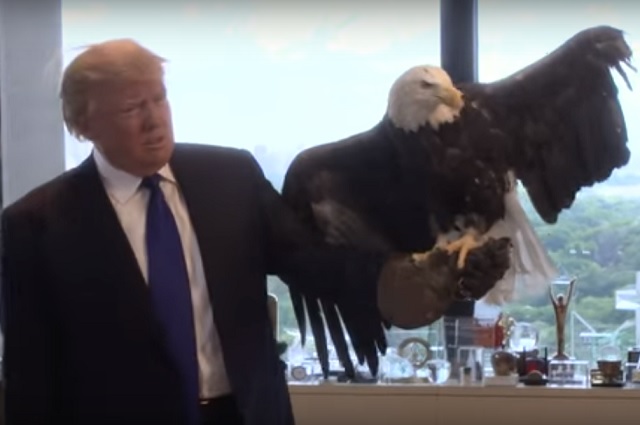 Дональд Трамп и орел