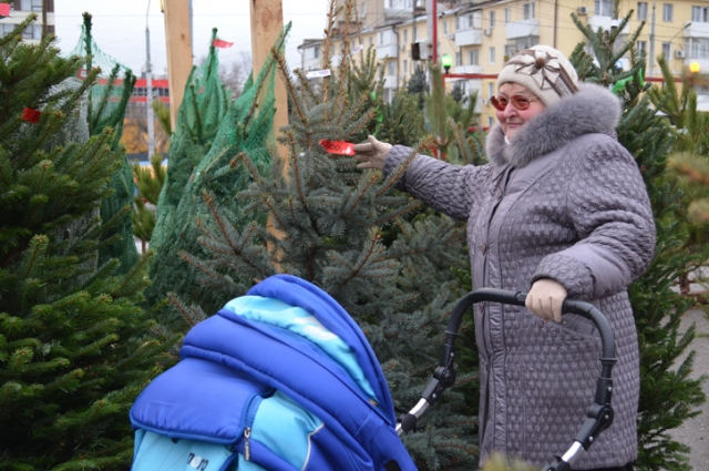 «Я на деревья прихожу только посмотреть, - говорит ростовчанка Александра Ватрушева.