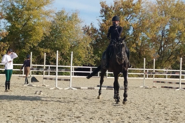 Конноспортивный клуб «Популярность».