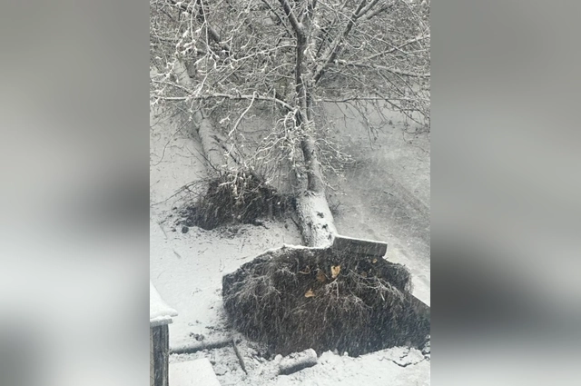 Сильнее всего ураган проявляет себя в Москве и Самаре.