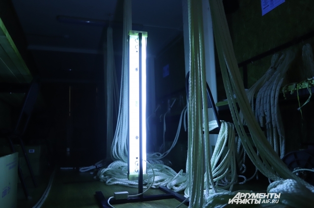 В цехах под потолок повесили ультрафиолетовые лампы. В других местах просто расставили.