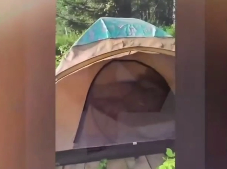 Палатка пары, которую они поставили на берегу.