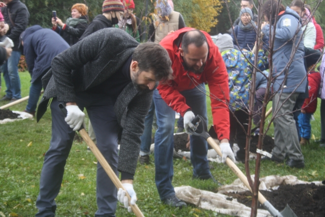 Шандор Козлов и Александр Петренко закладывают яблоневый мини-сад.