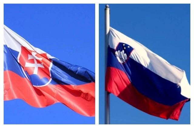 Флаг Словакии, флаг Словении.