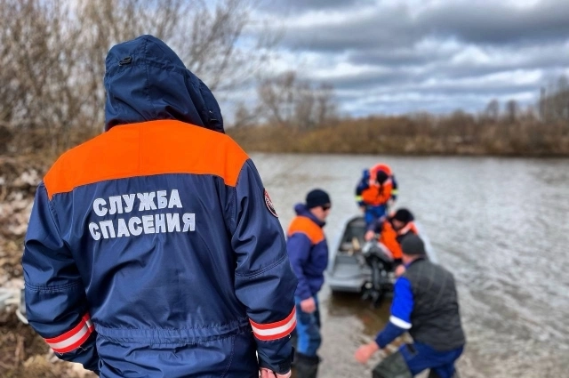 «Людям кажется, что чем больше волонтёров выйдет, тем эффективнее будет поиск. Но количество – это не всегда качество».
