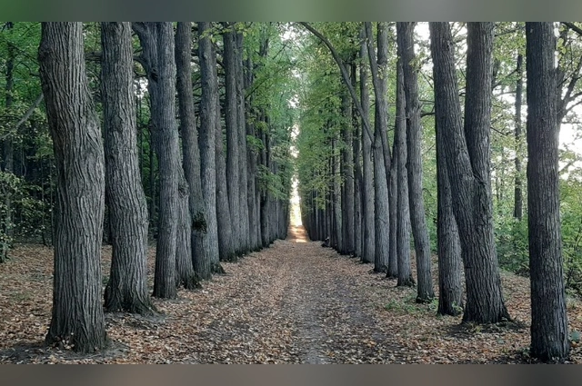 Усадьба Нарышкиных-Паулуччи связана с именами старинных семей и с промышленным прошлым края.