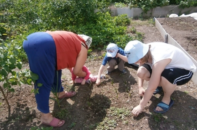 Наталье Михалне в огроде помогают дочь и внуки.