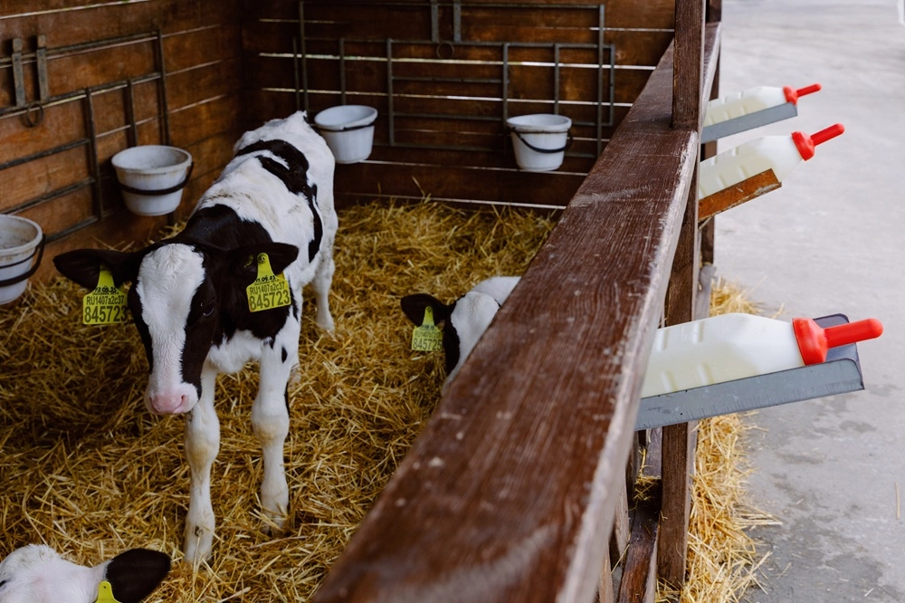 
 От прошлого к будущему. Молочная продукция набирает популярность    