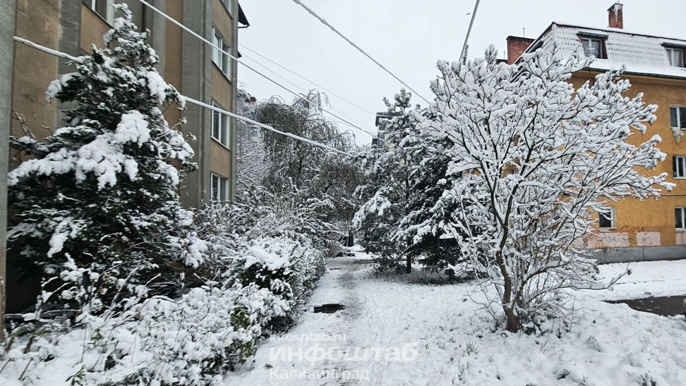 Снегопад, снег, зима