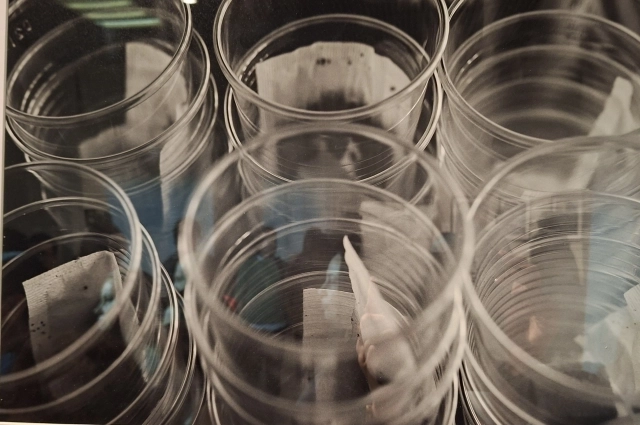 Артур Назаров. Чай, 2025 г.