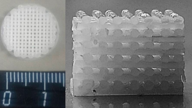 Фотография 3D-каркаса из биополимера общий вид (слева) и продольный разрез (справа).