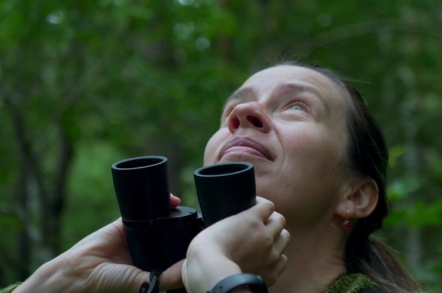 О чём поют городские птицы? Пробуждение