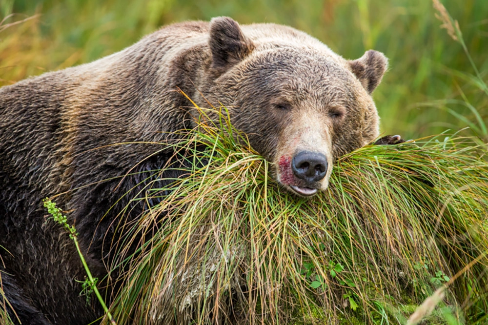 Уникальность сна.