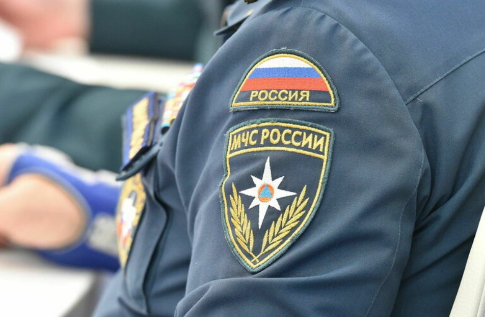 Медведя забрали спасатели и передали зоозащитникам.