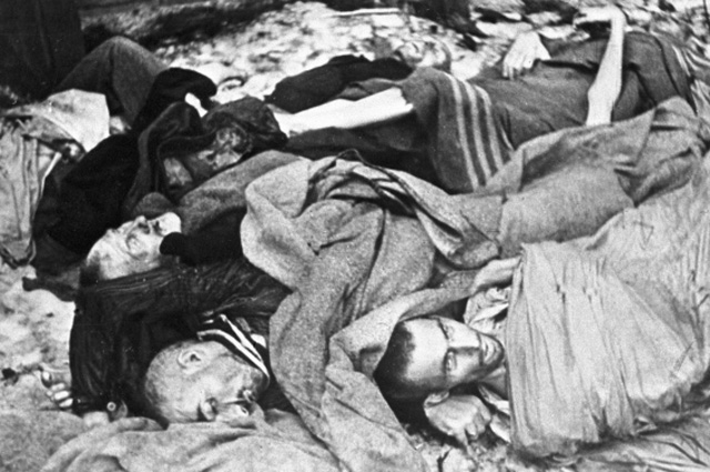 Трупы замученных в концлагере Освенцим