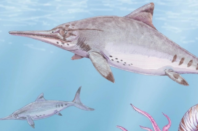 Глаза офтальмозавра были до 30 см в диаметре.