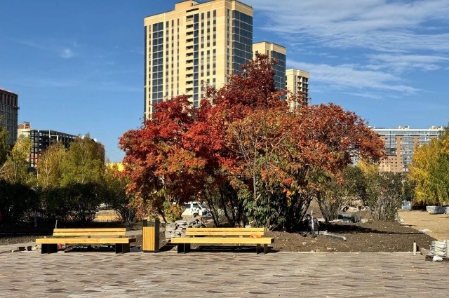 С деревьями всё преображается