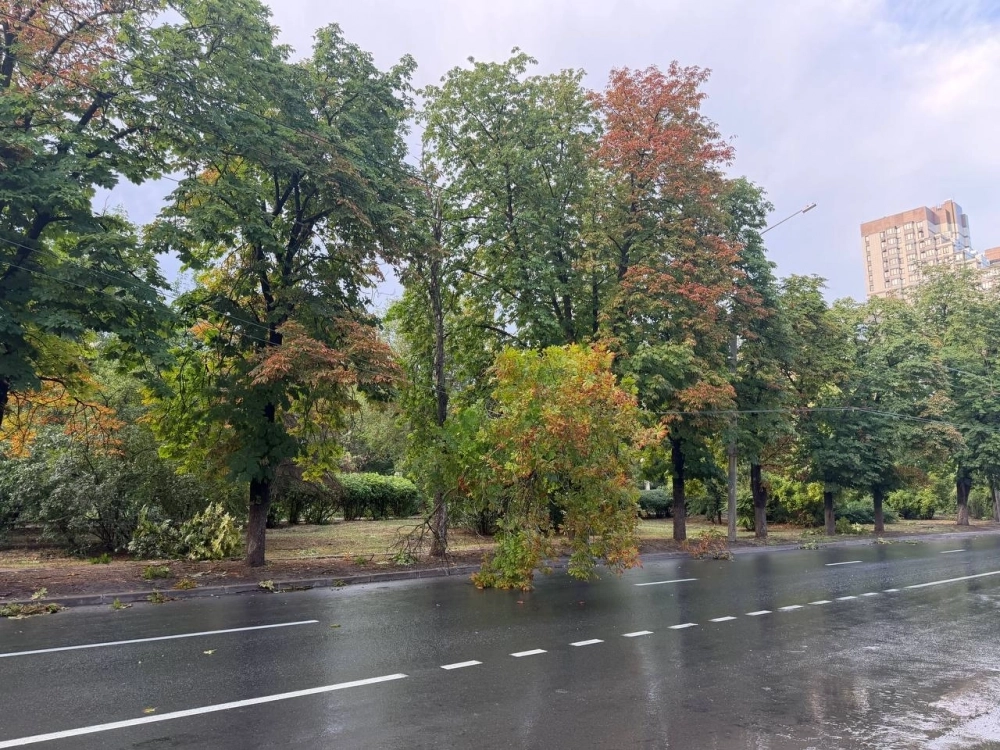 Ветер валил деревья и рекламные щиты.