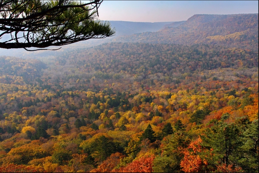 Национальный парк «Земля леопарда».
