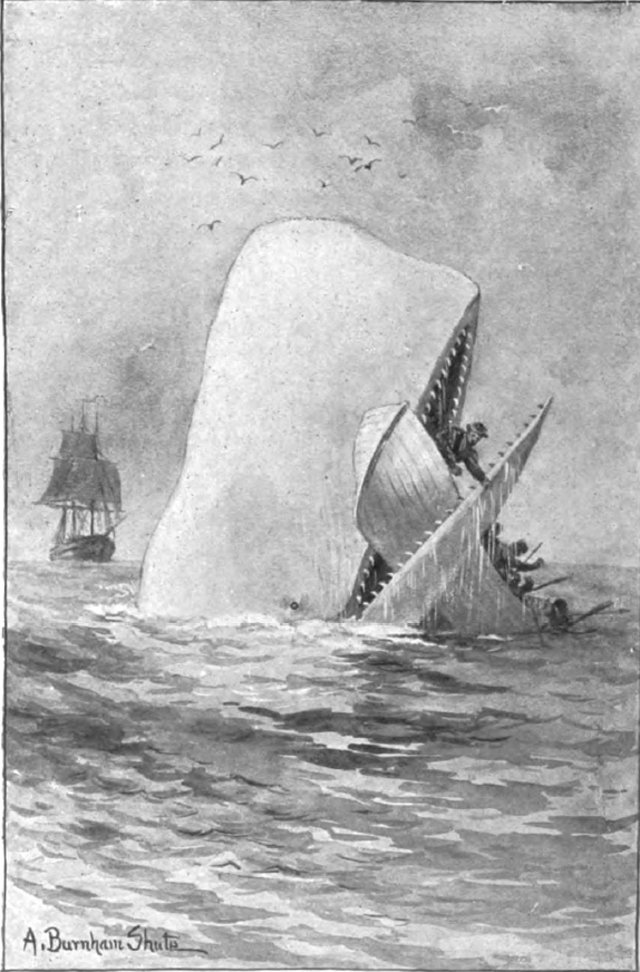 Иллюстрация к раннему изданию книги «Моби Дик, или Белый кит»