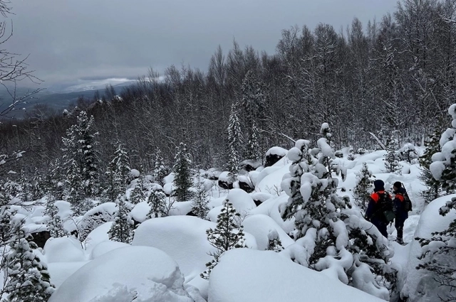 По мнению Валентина, пятно видно на крайнее ели слева