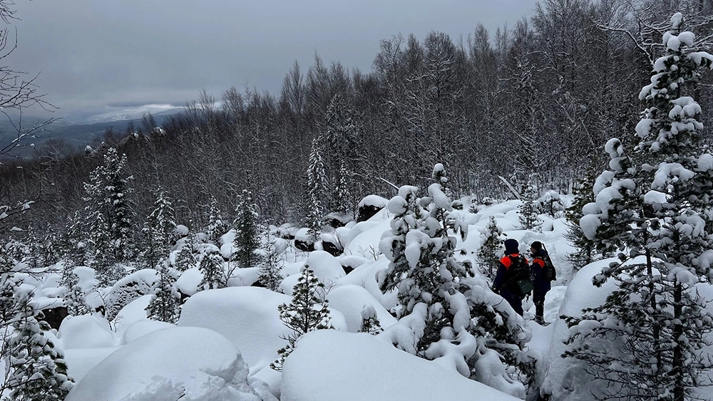 Поиски семьи Усольцевых.