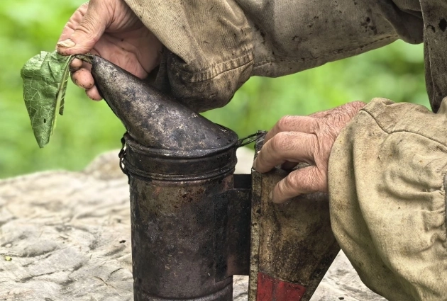 Дым отпугивает пчел.