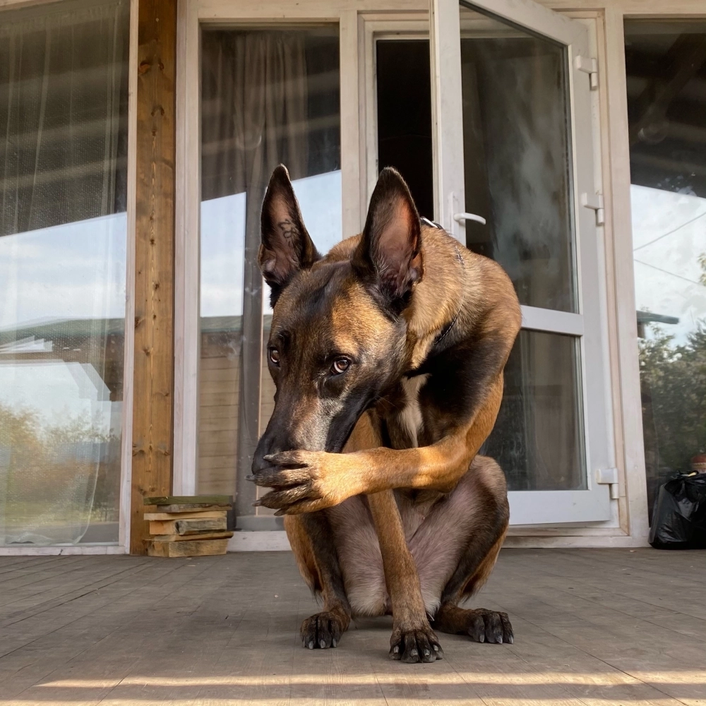 Джесс была игривой и послушной девочкой.