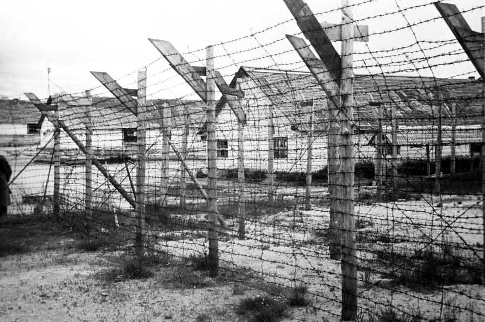 Финский концентрационный лагерь в городе Медвежьегорске. На&nbsp;территории оккупированной Карелии действовали 14 финских концлагерей, 4 трудовых лагеря, 42 лагеря для военнопленных.