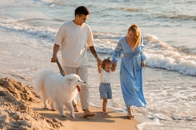 В сибирское село блогер с семьёй переехал из Калининграда.