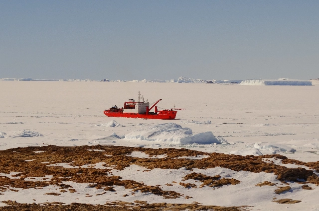 Антарктида, МТС