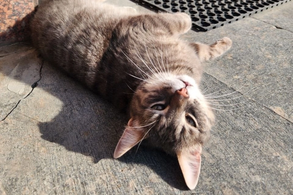 В неформальной обстановке.