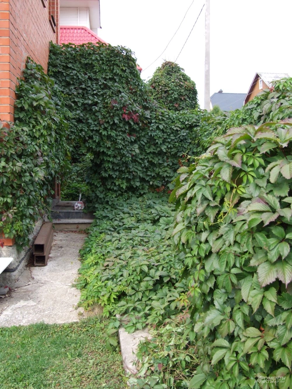 Декор входа в дом.