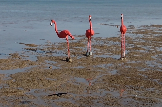 Страна славится интересными экскурсиями.