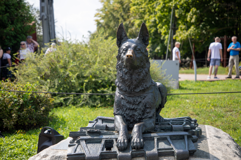 День фронтовой собаке в Музее Победы. 
