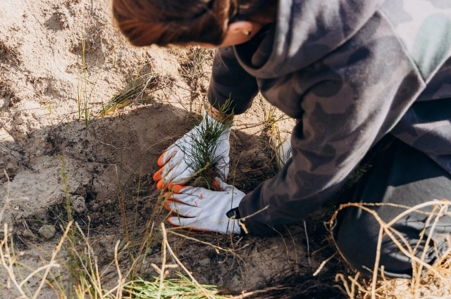 За четыре года ростовчанка сумела вовлечь в экологические акции более 1,5 тыс. волонтёров.