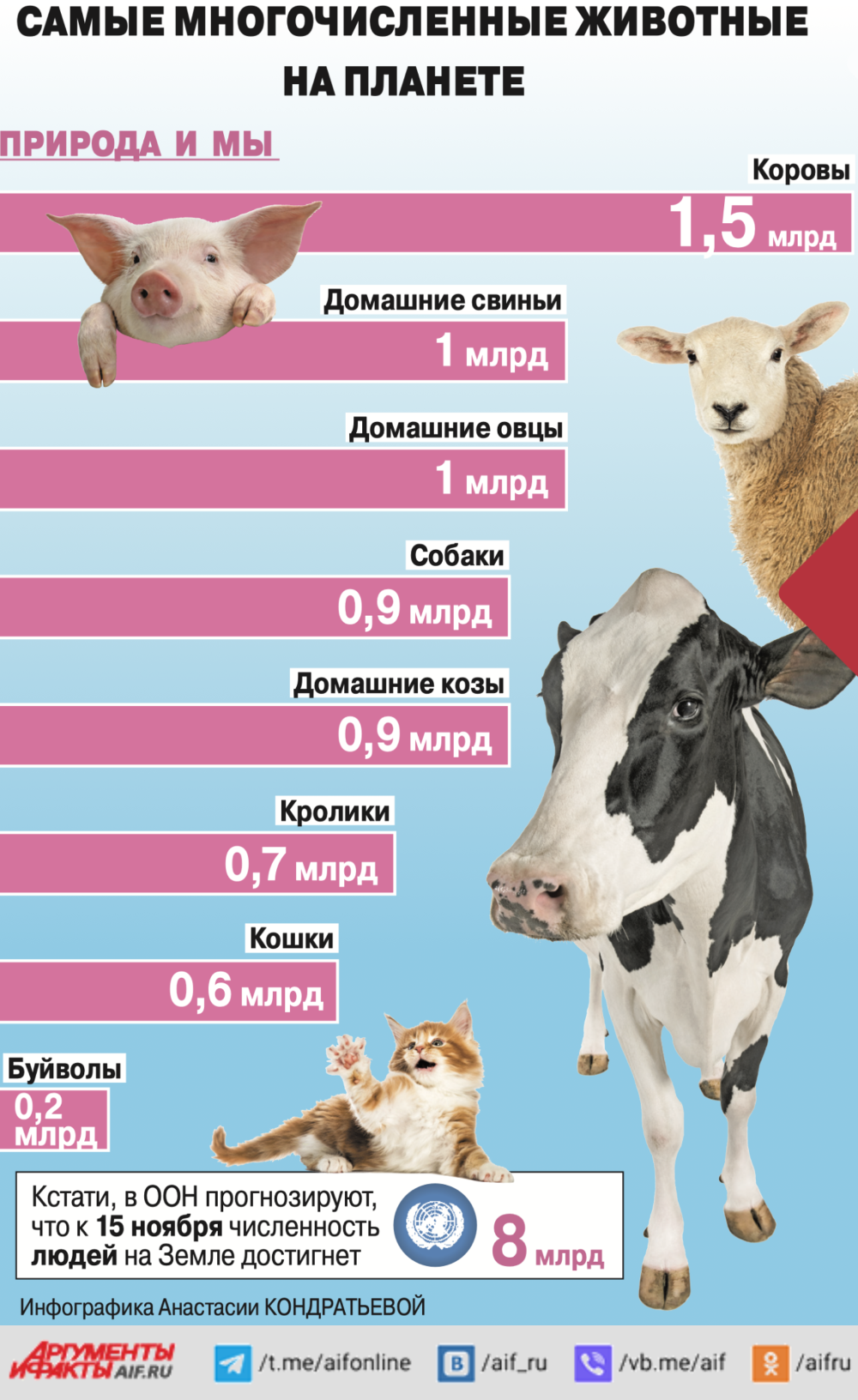 Самые многочисленные животные на планете. Инфографика | Аргументы и Факты