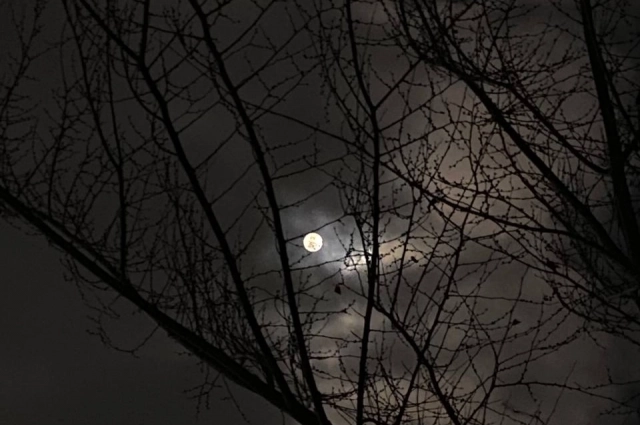 Первое полнолуние 2026 года