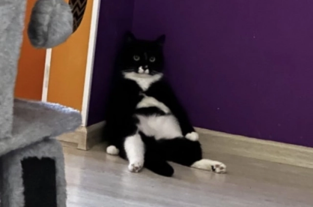 Устал и присел