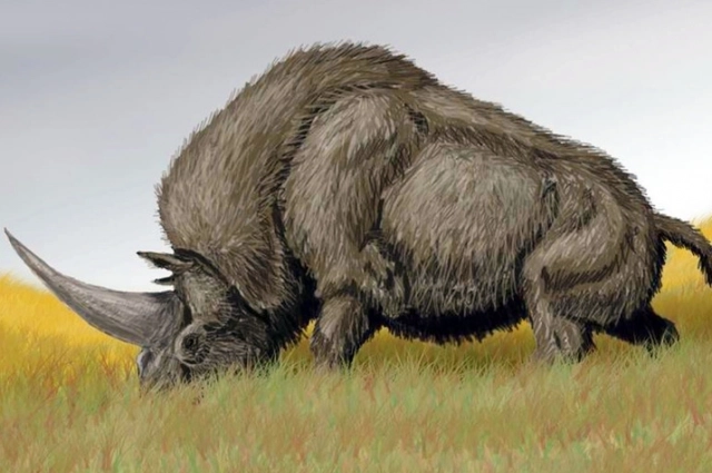 Изображение древнего носорога эласмотерия.