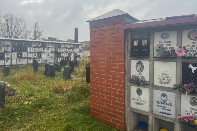 Похоронить питомца можно в землю или колумбарий.