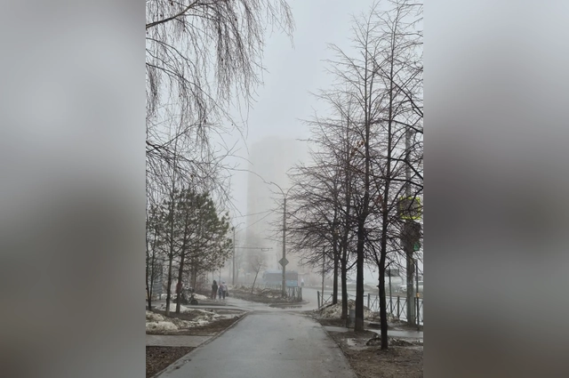 Из-за тумана на улицах ничего не видно.