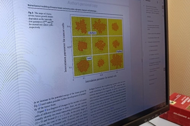 Пермские учёные исследовали, как раковые клетки перерождаются и проникают в здоровые ткани